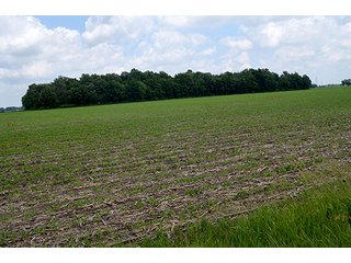 Property photo 65 - LAND AUCTION - 700+/- ACRES OFFERED IN 16 TRACTS IN ALLEN COUNTY, INDIANA